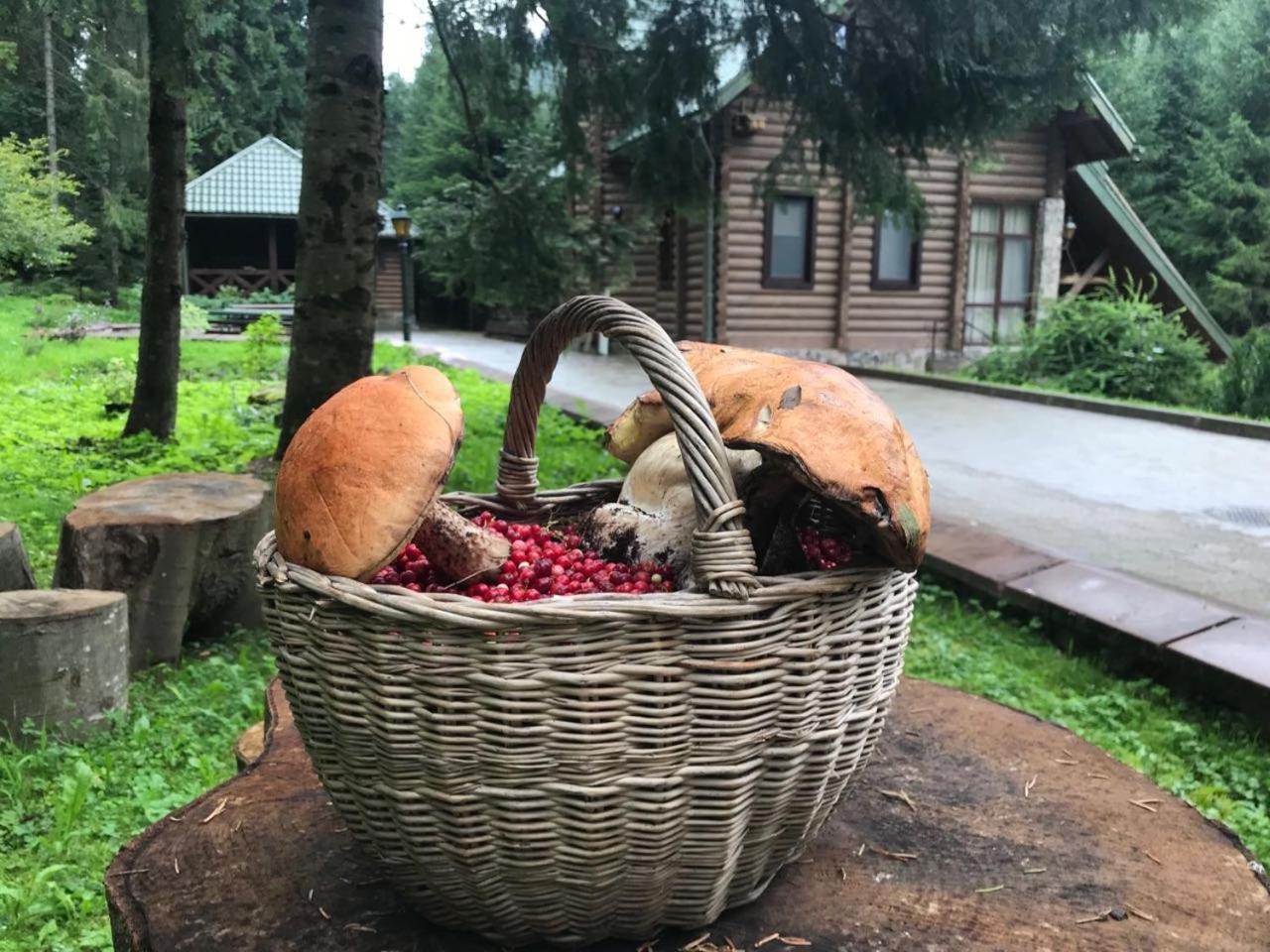 Лісовий Маєток Slavske Eksteriør billede
