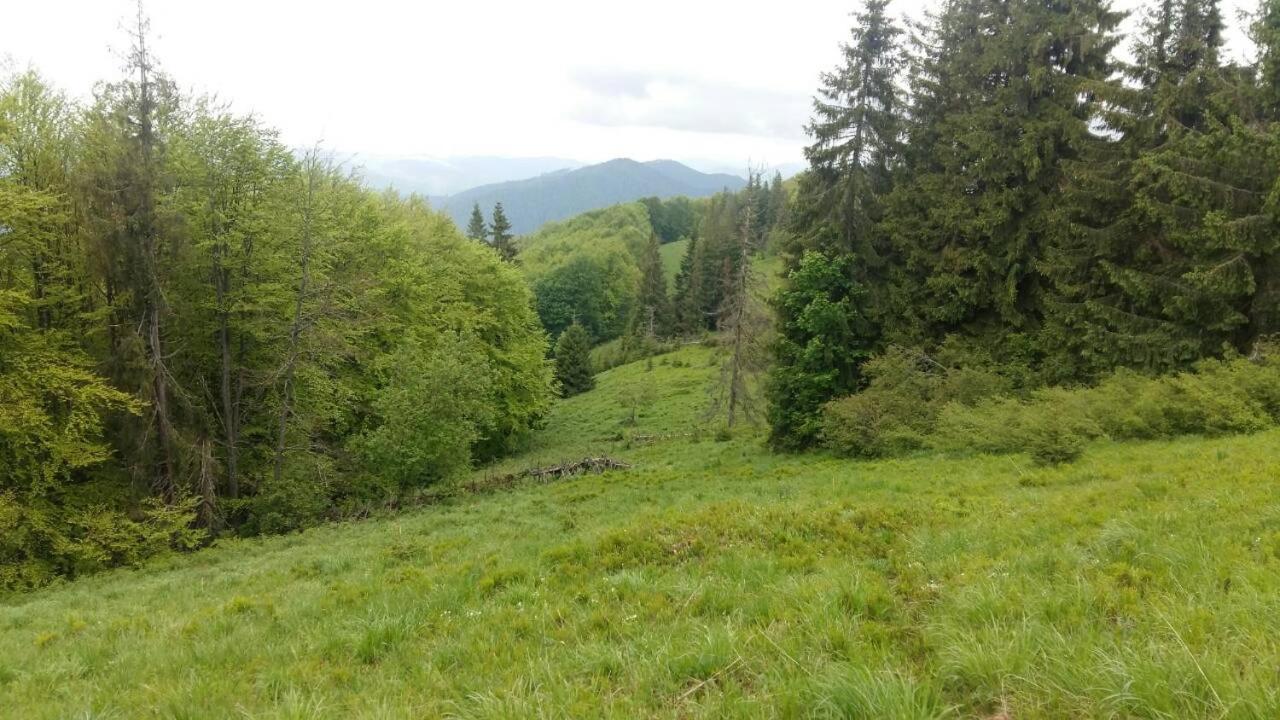 Лісовий Маєток Slavske Eksteriør billede